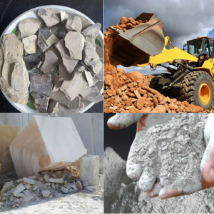 الصفحة الرئيسية untitled design(13)